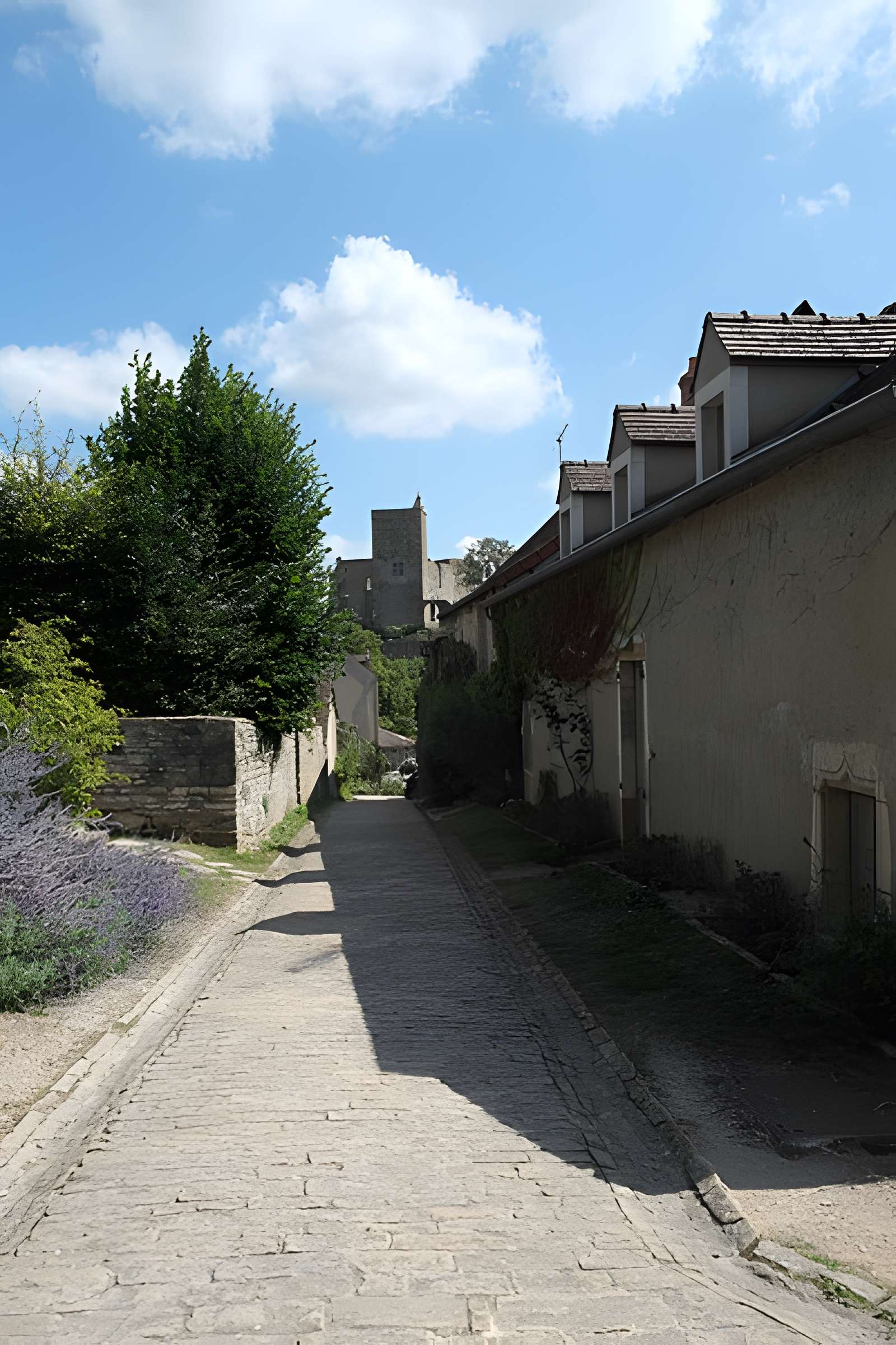 Château de Brancion