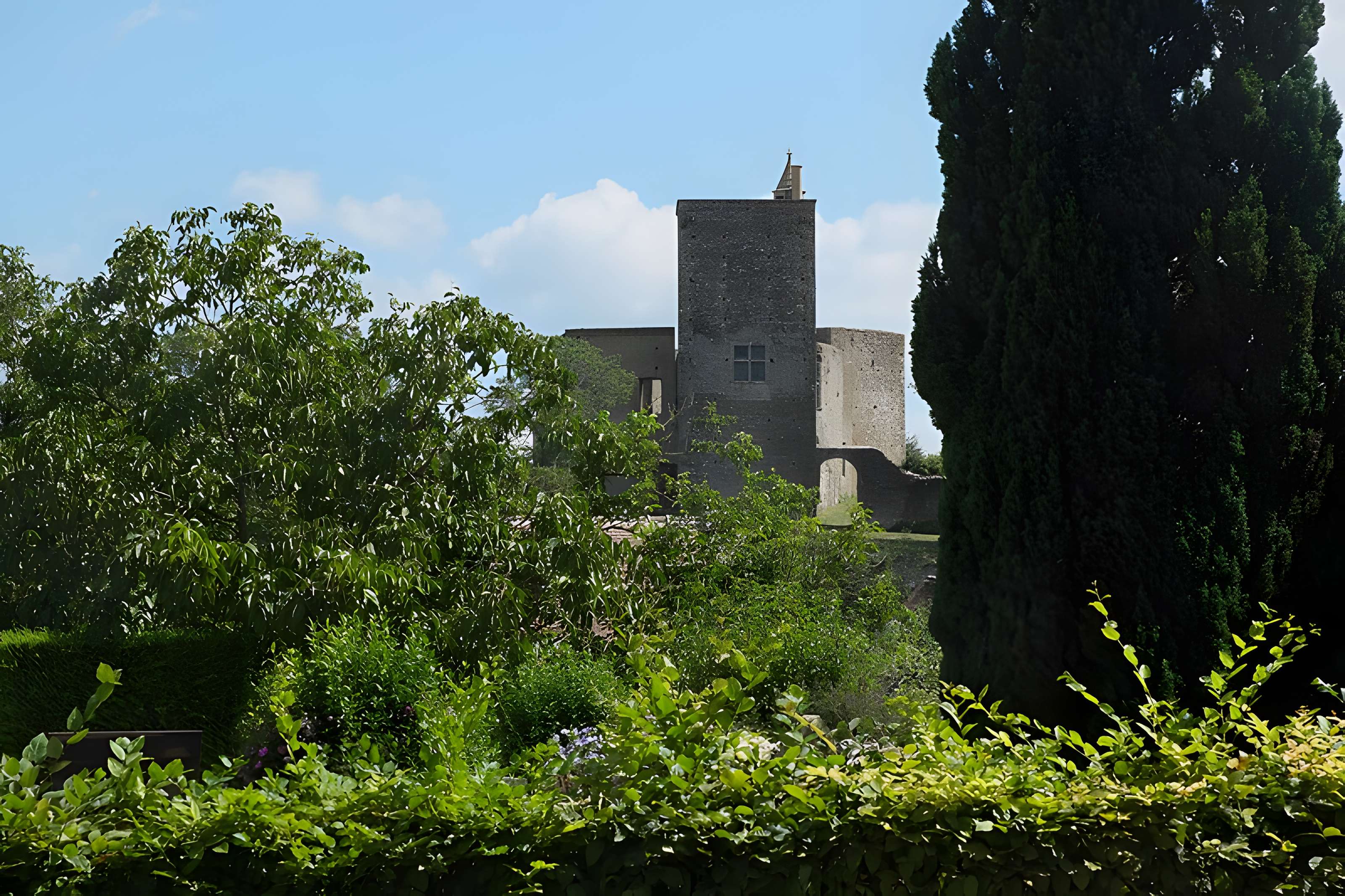Château de Brancion