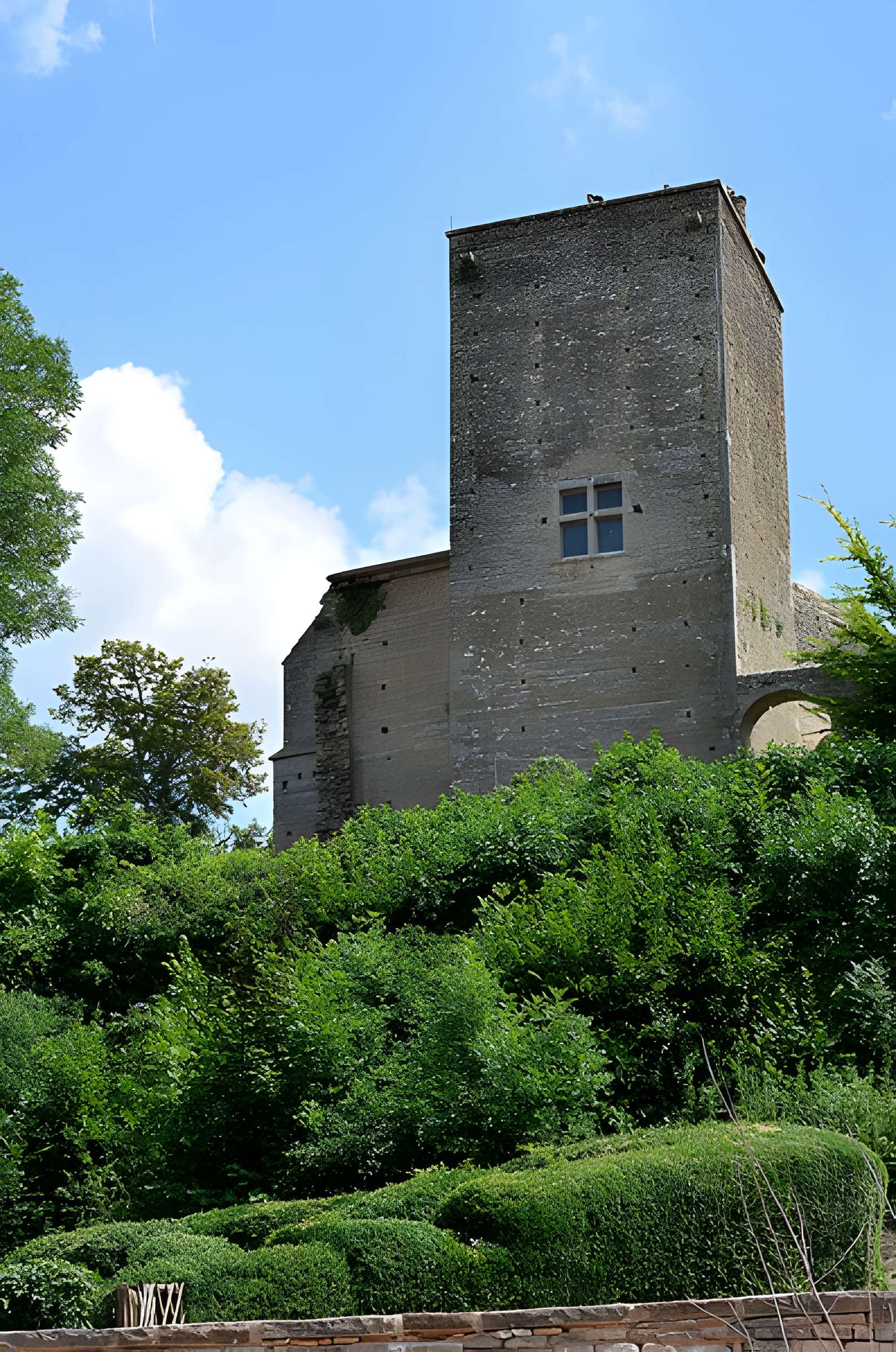 Château de Brancion