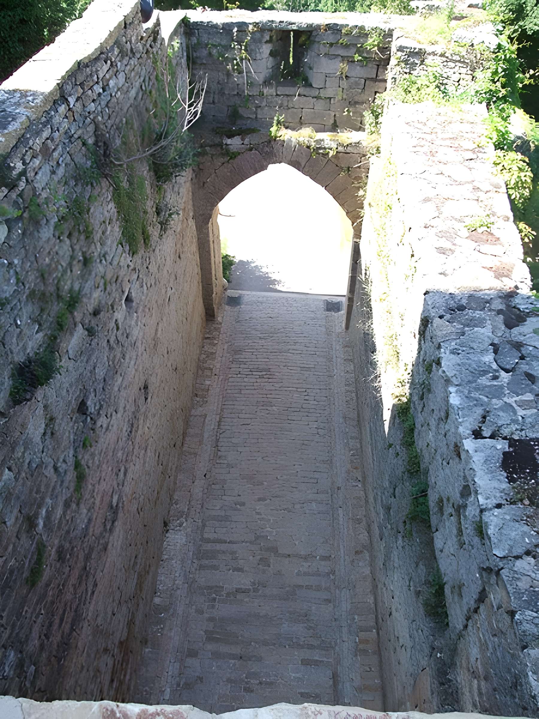 Château de Brancion