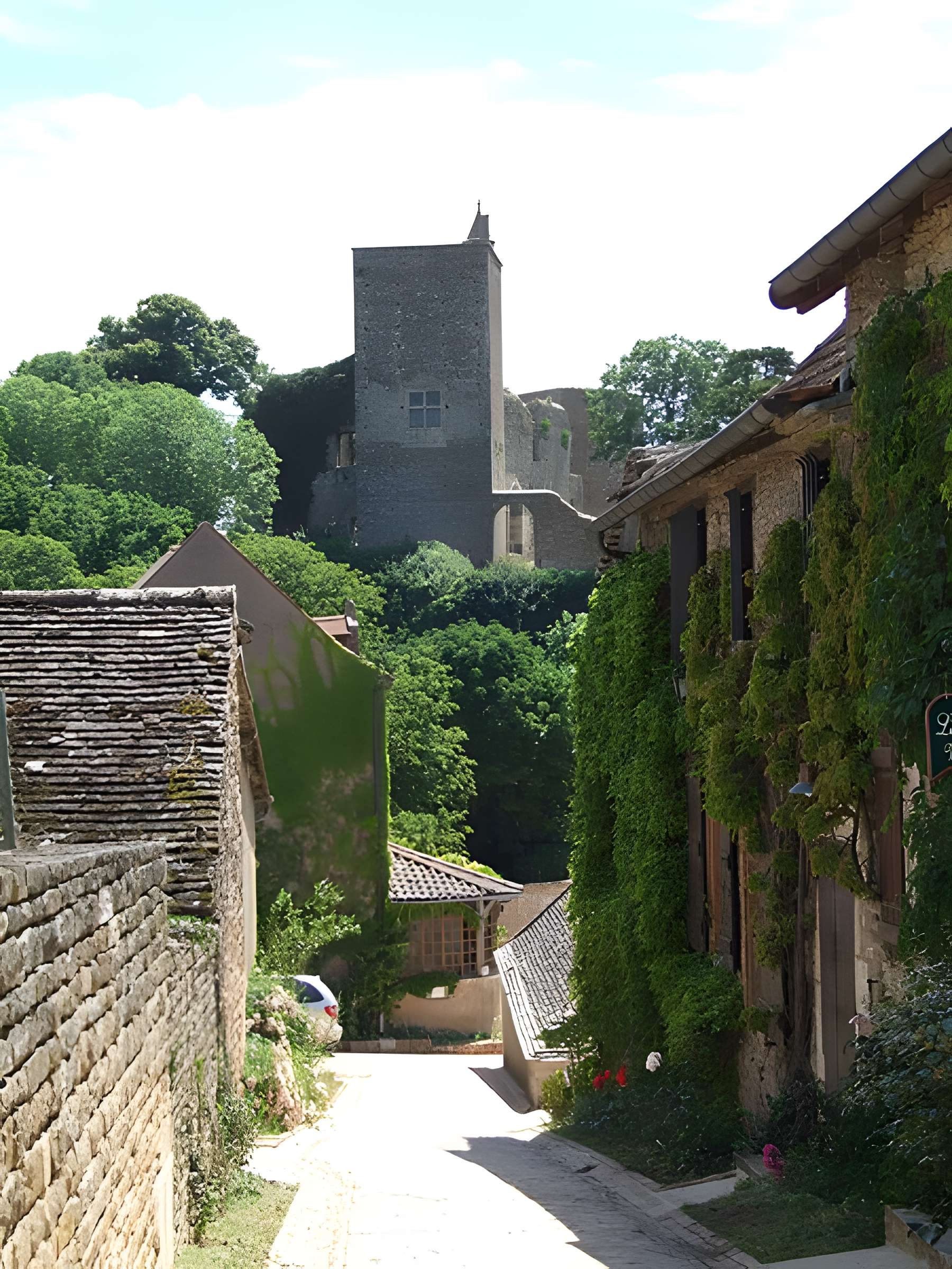 Château de Brancion