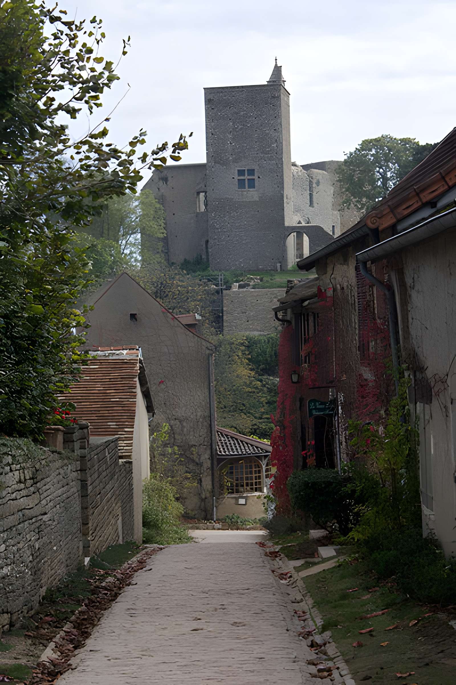 Château de Brancion