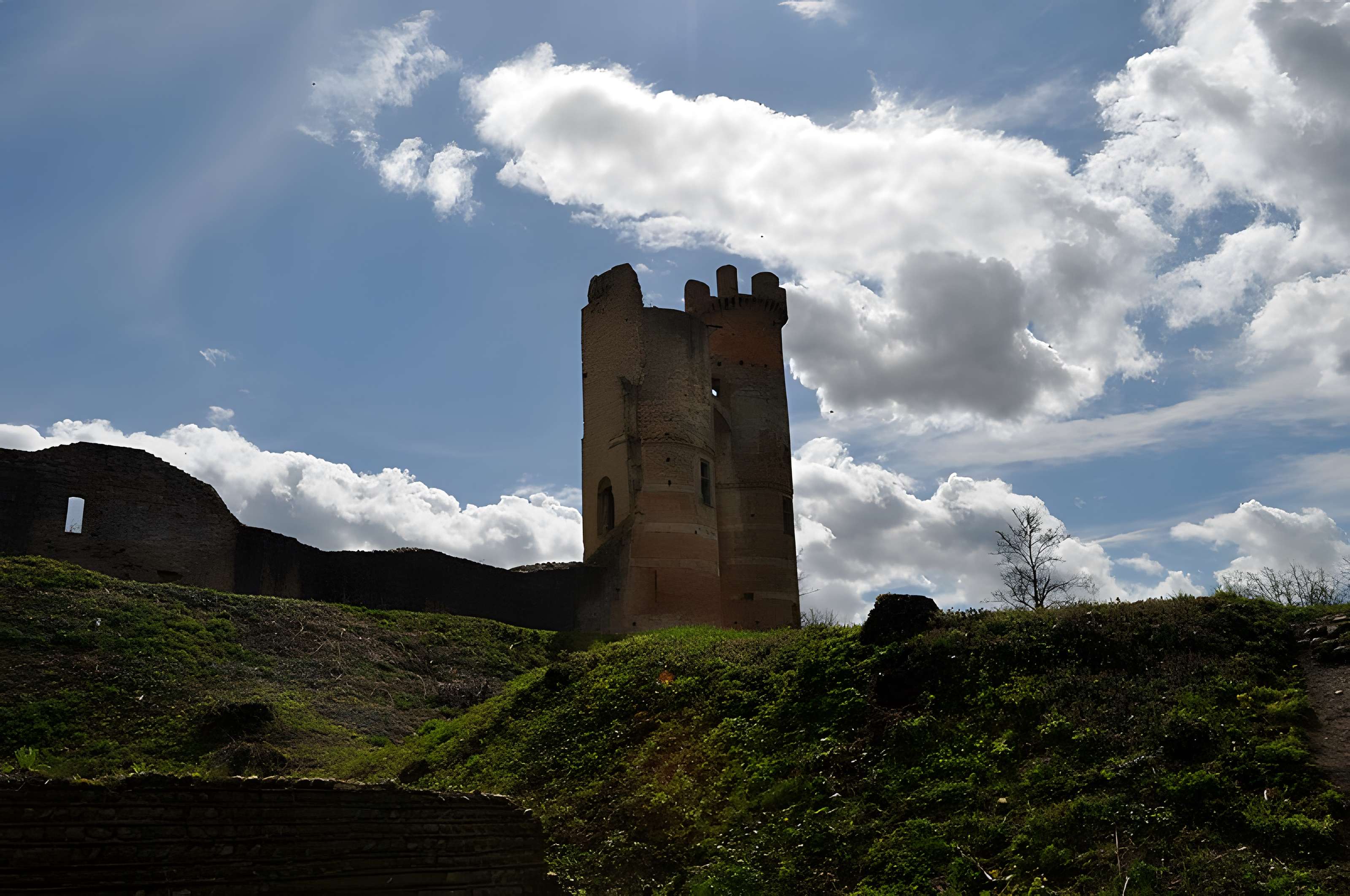 Château de Bressieux