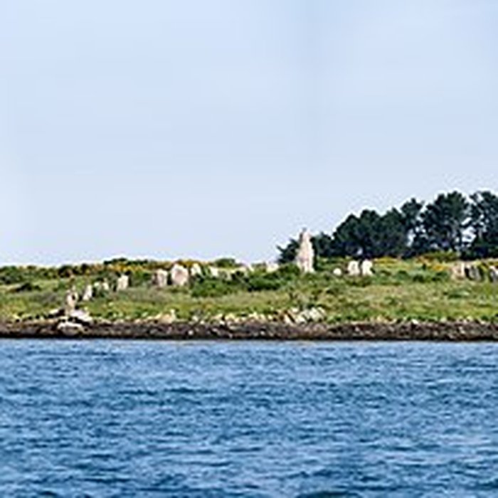 Photo de Cairn de Gavrinis à Larmor-Baden