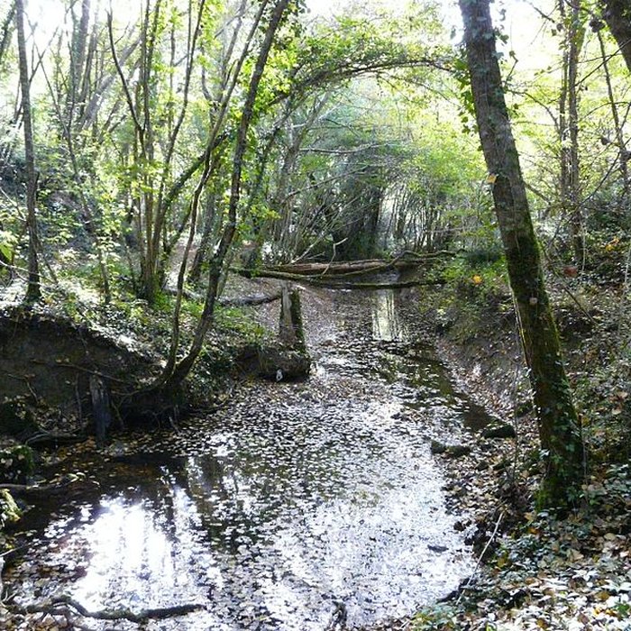 Photo de Château de Bridoire