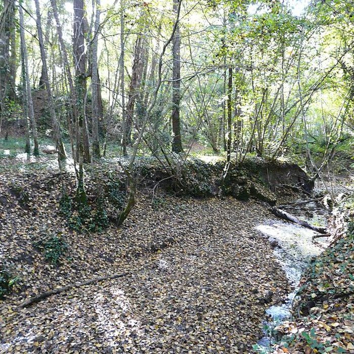 Photo de Château de Bridoire