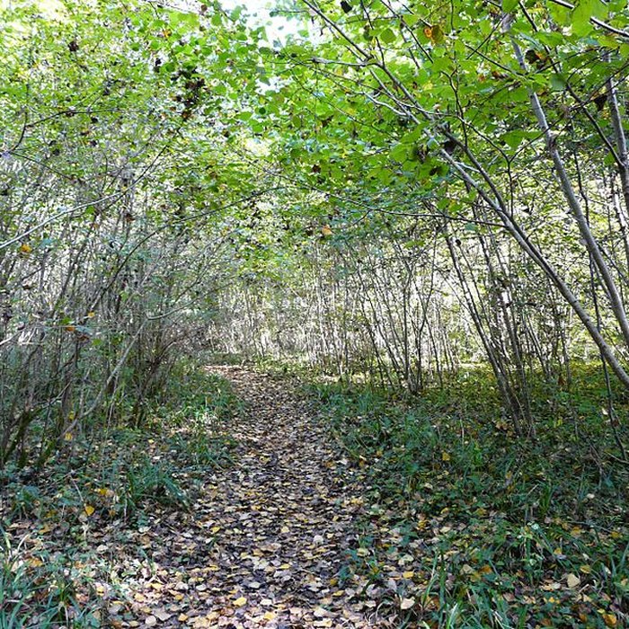 Photo de Château de Bridoire