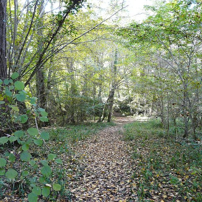 Photo de Château de Bridoire