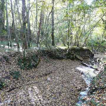 Château de Bridoire