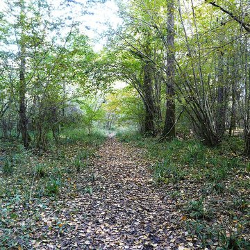 Château de Bridoire