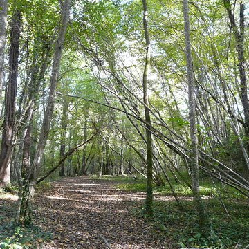 Château de Bridoire