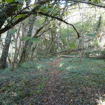 Château de Bridoire