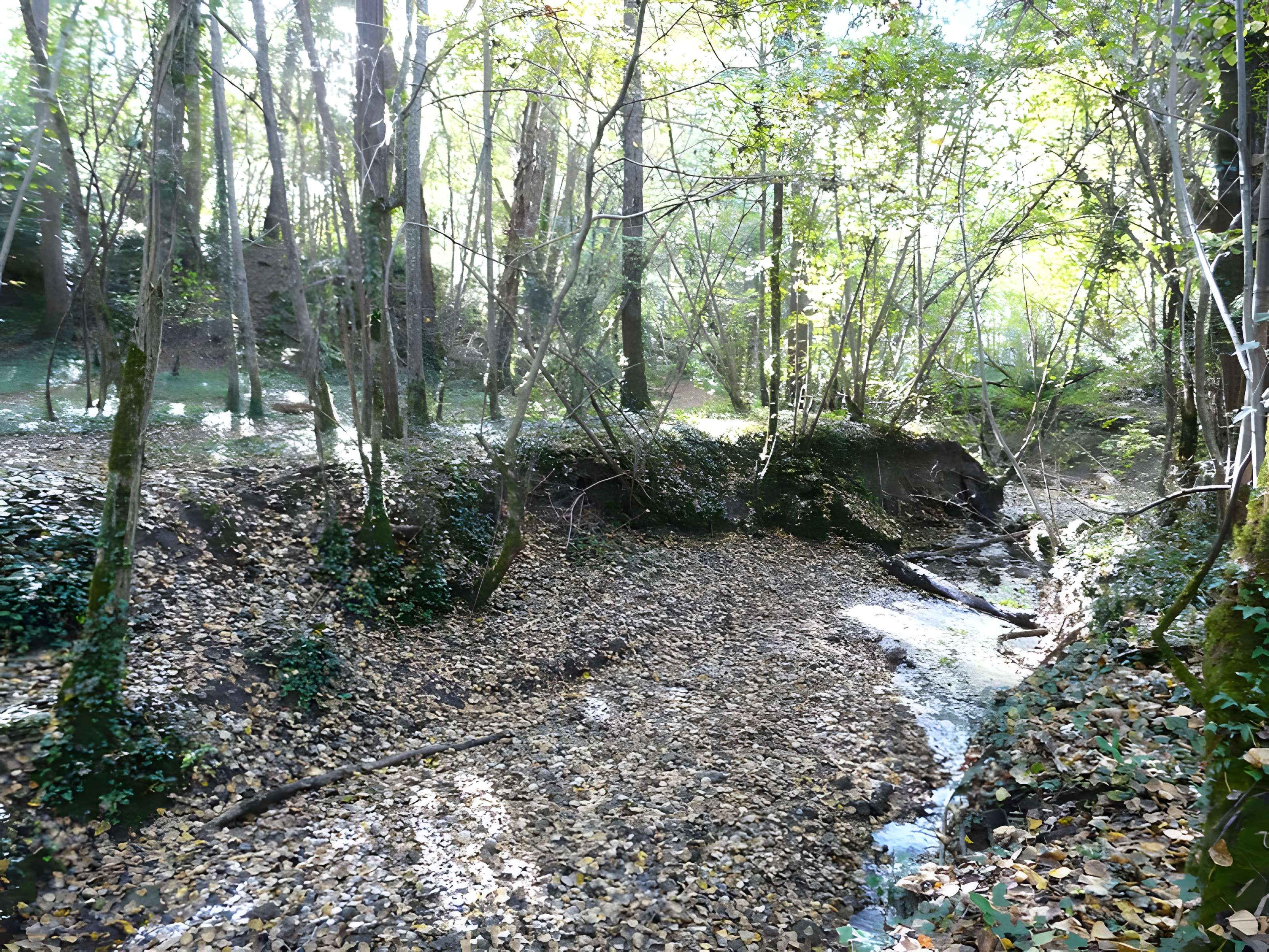 Château de Bridoire