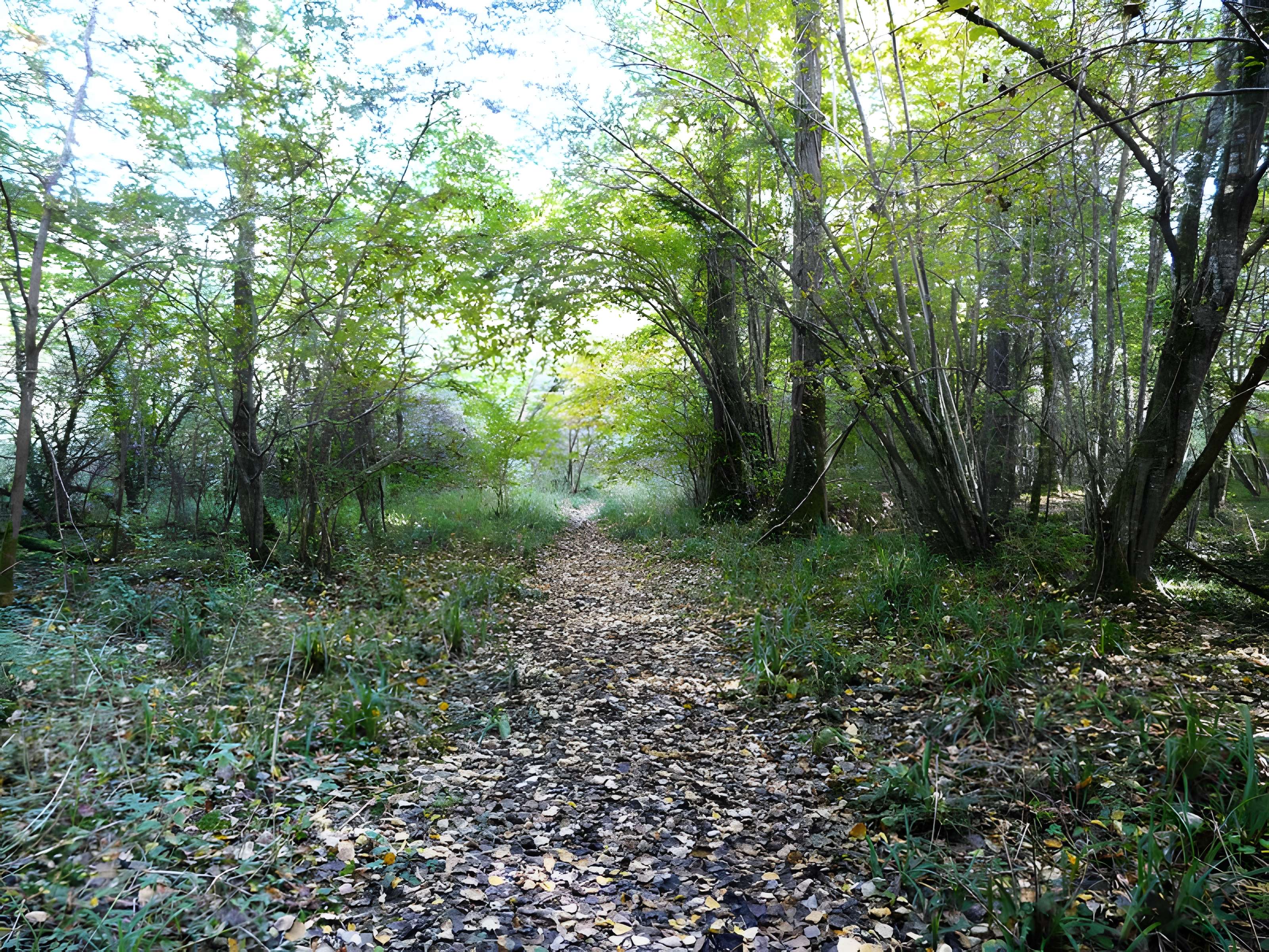 Château de Bridoire