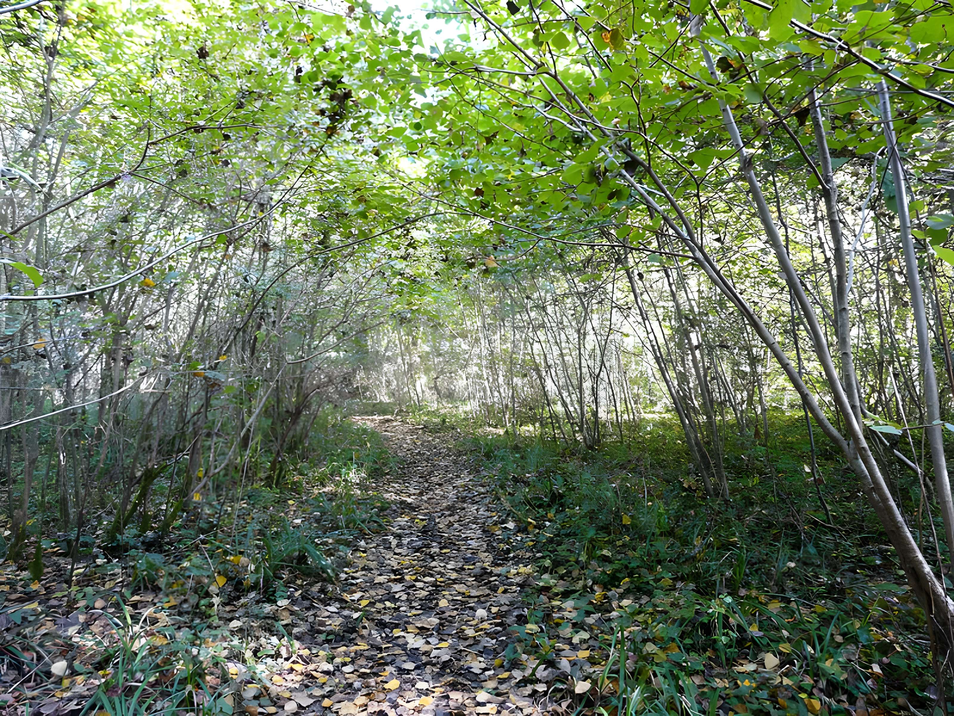 Château de Bridoire