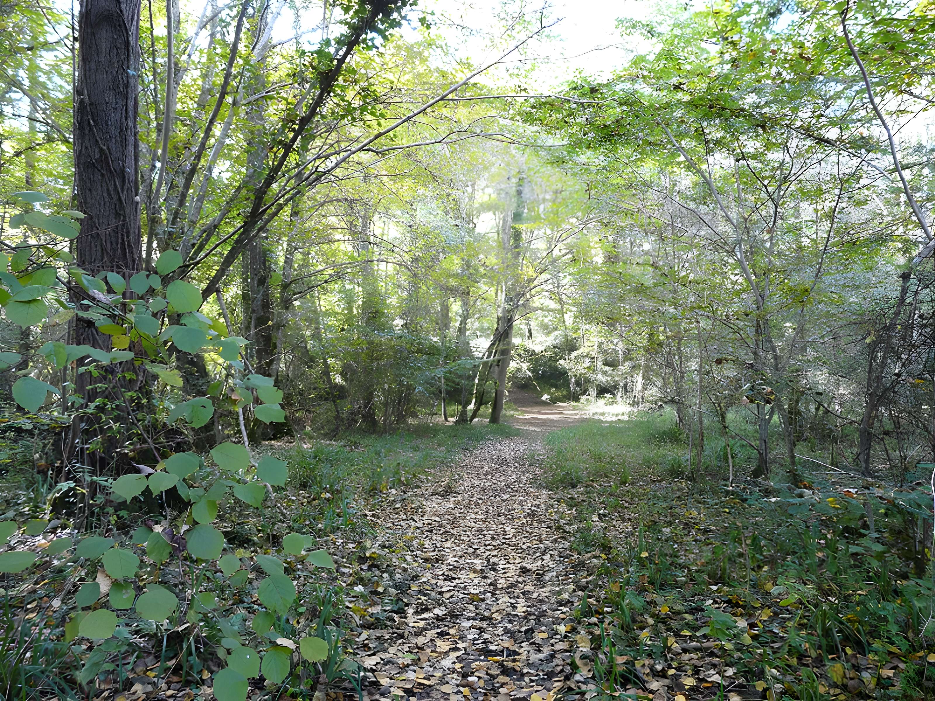 Château de Bridoire
