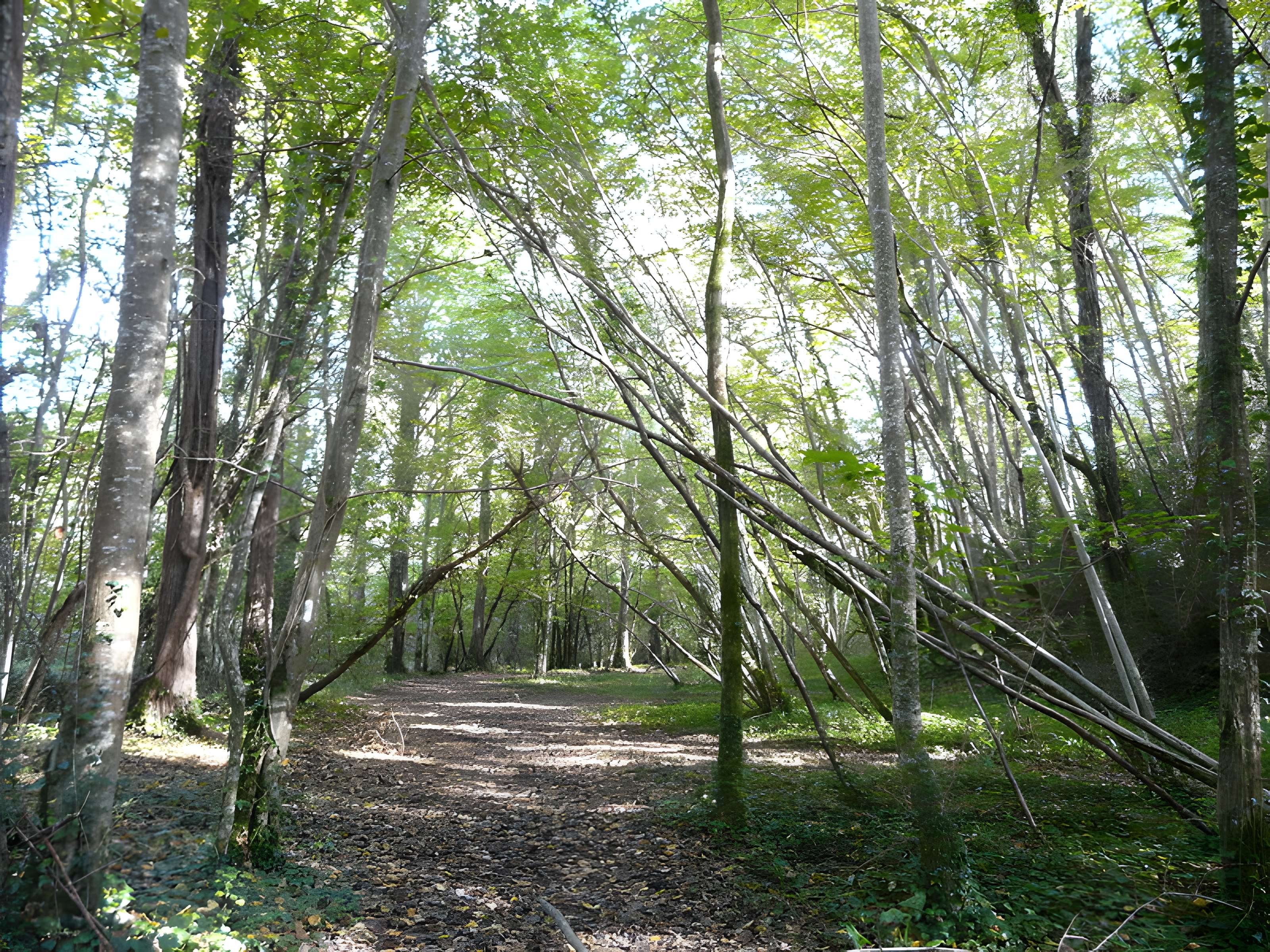 Château de Bridoire