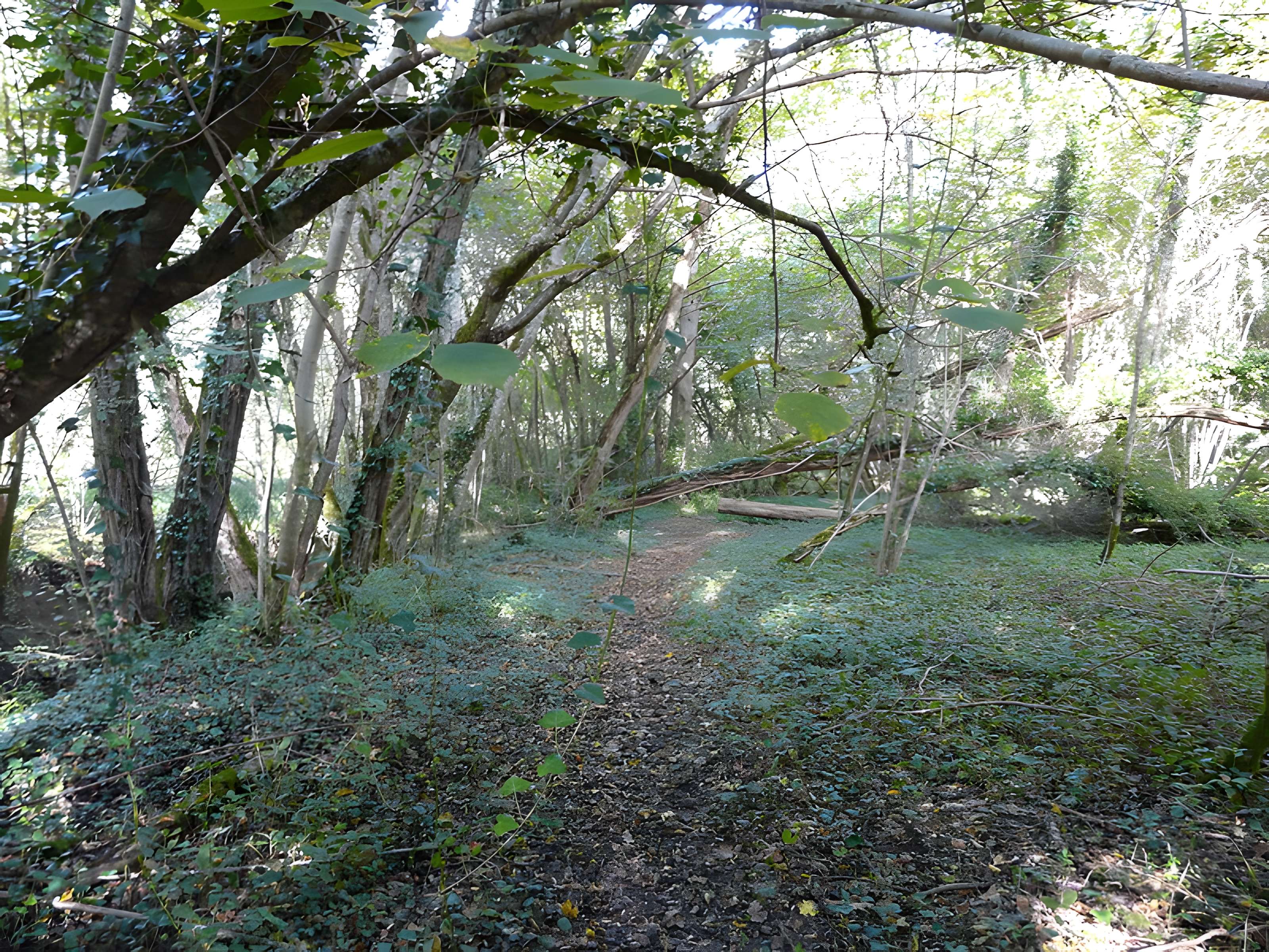 Château de Bridoire