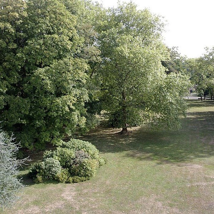 Photo de Château de Brie