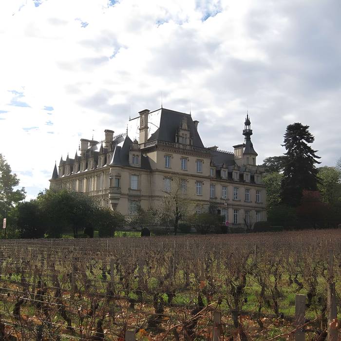 Photo de Château de Stephen Liegeard