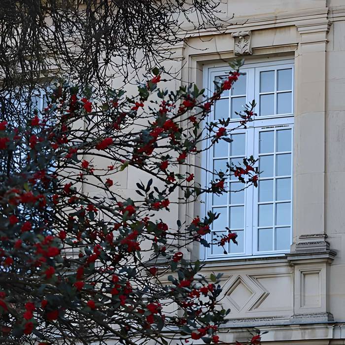 Photo de Château de Stephen Liegeard