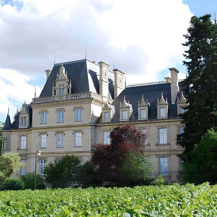 Photo de Château de Stephen Liegeard