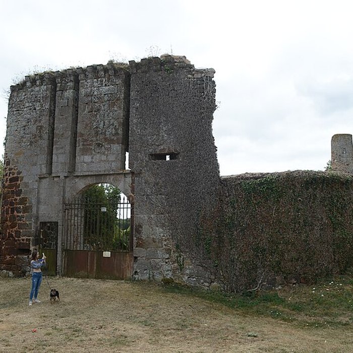 Photo de Château de Brosse