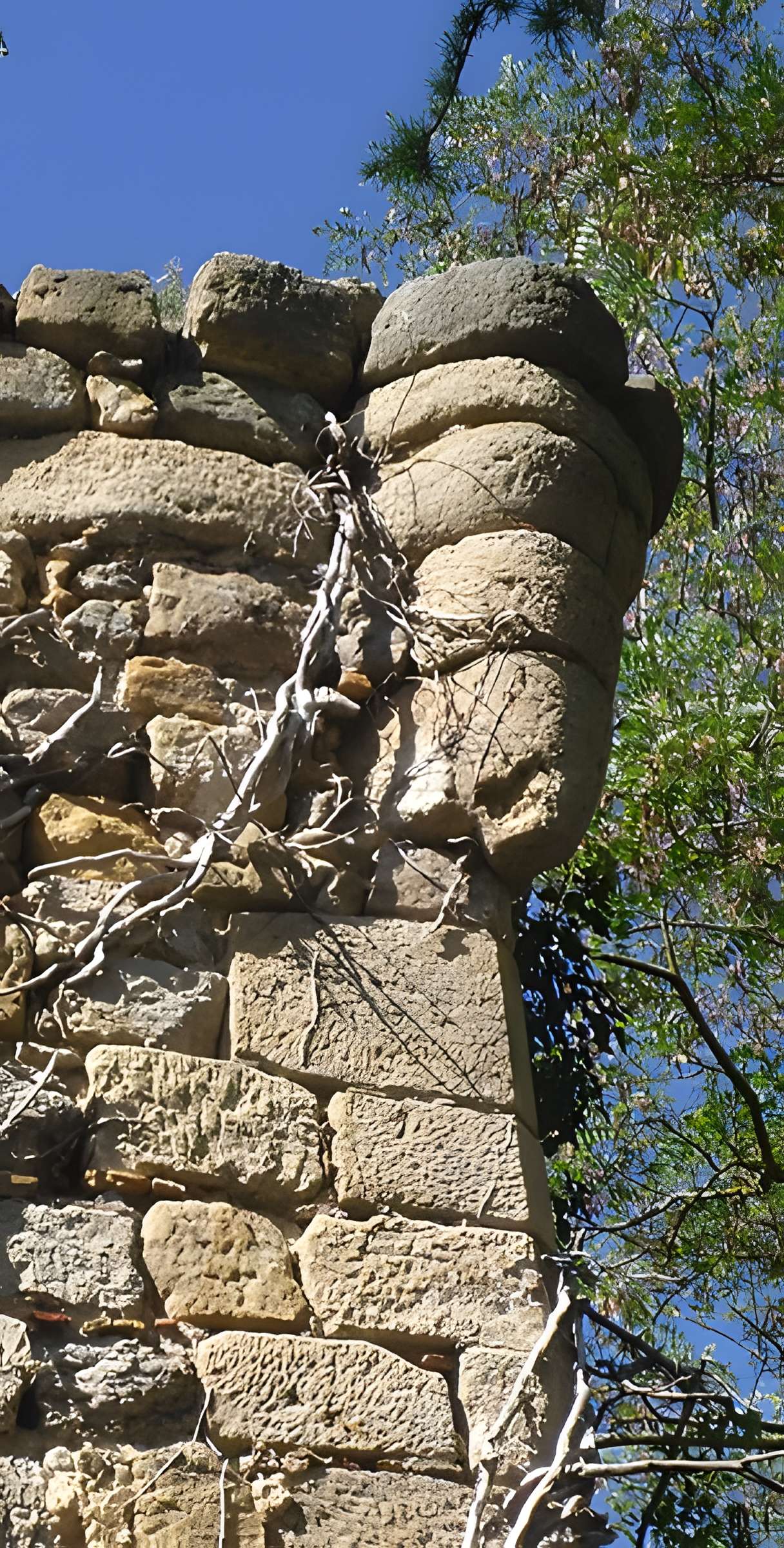 Château de Bugarach