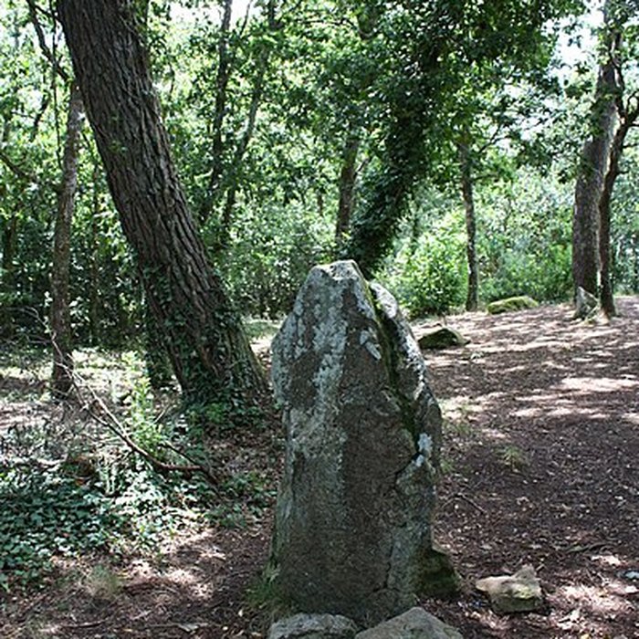 Photo de Cairn de Kercado à Carnac