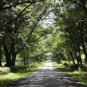 Cairn de Kercado à Carnac