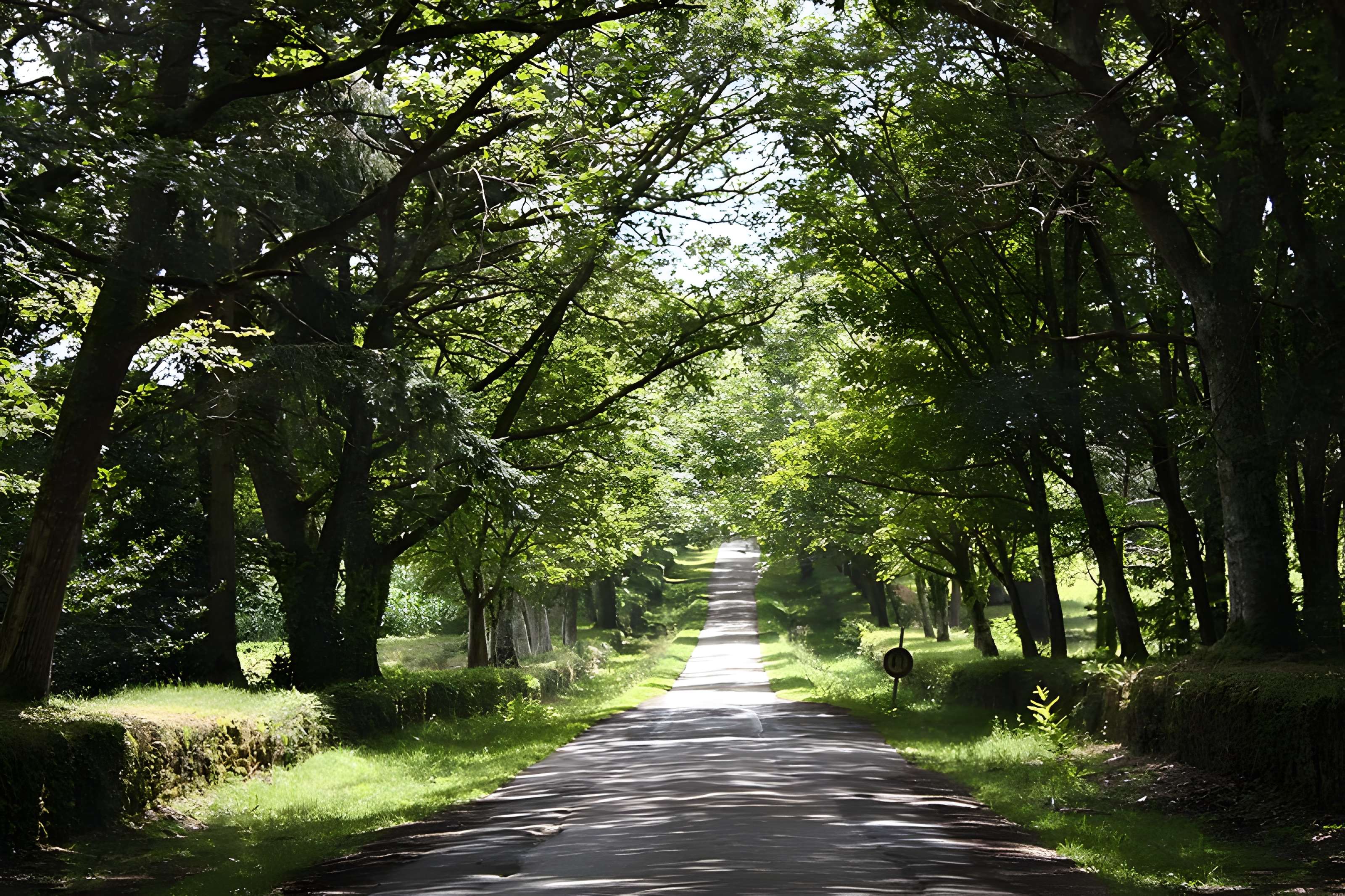 Cairn de Kercado à Carnac