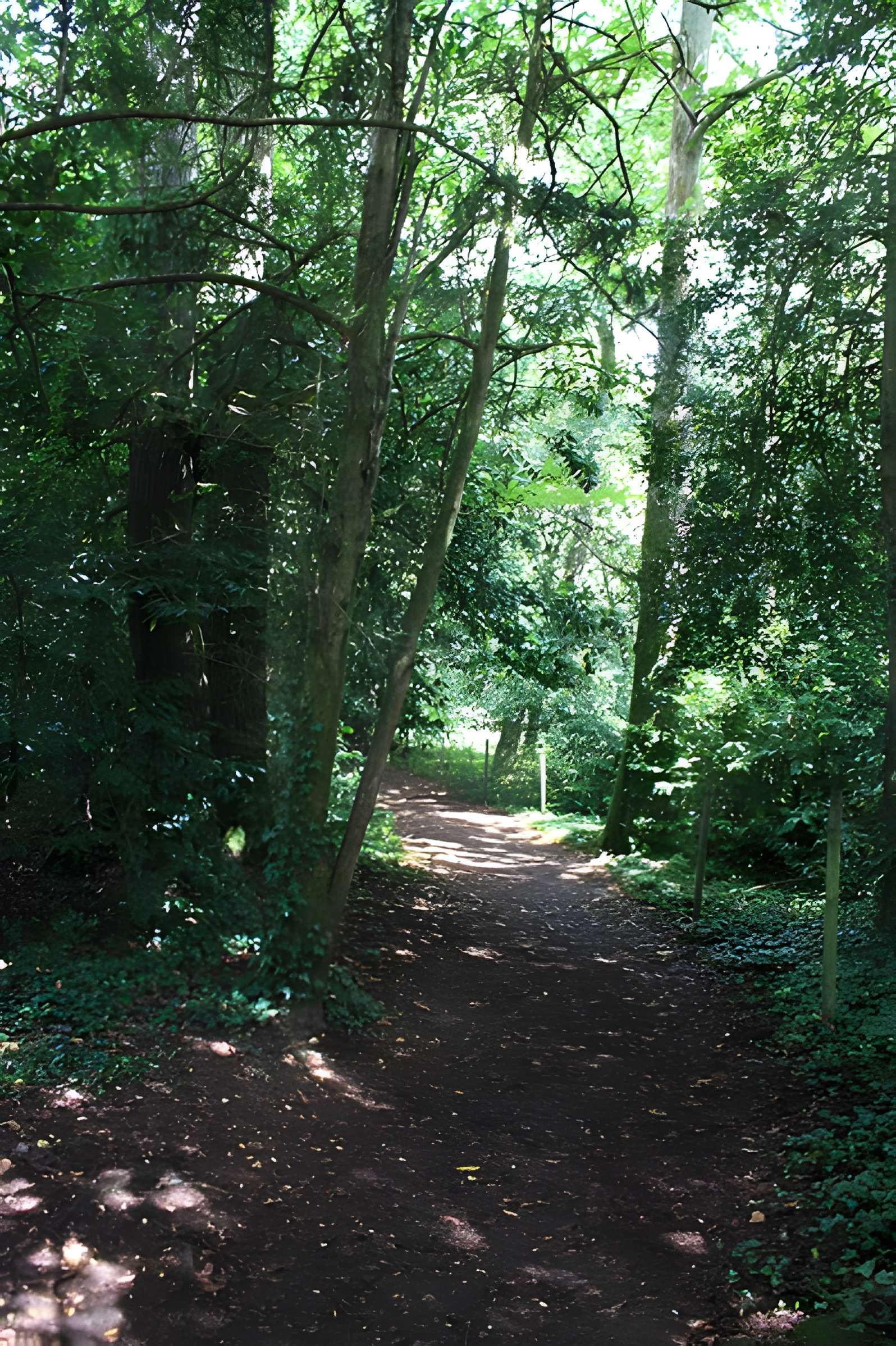 Cairn de Kercado à Carnac