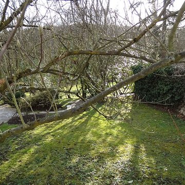 Maison-atelier de Foujita à Villiers-le-Bâcle