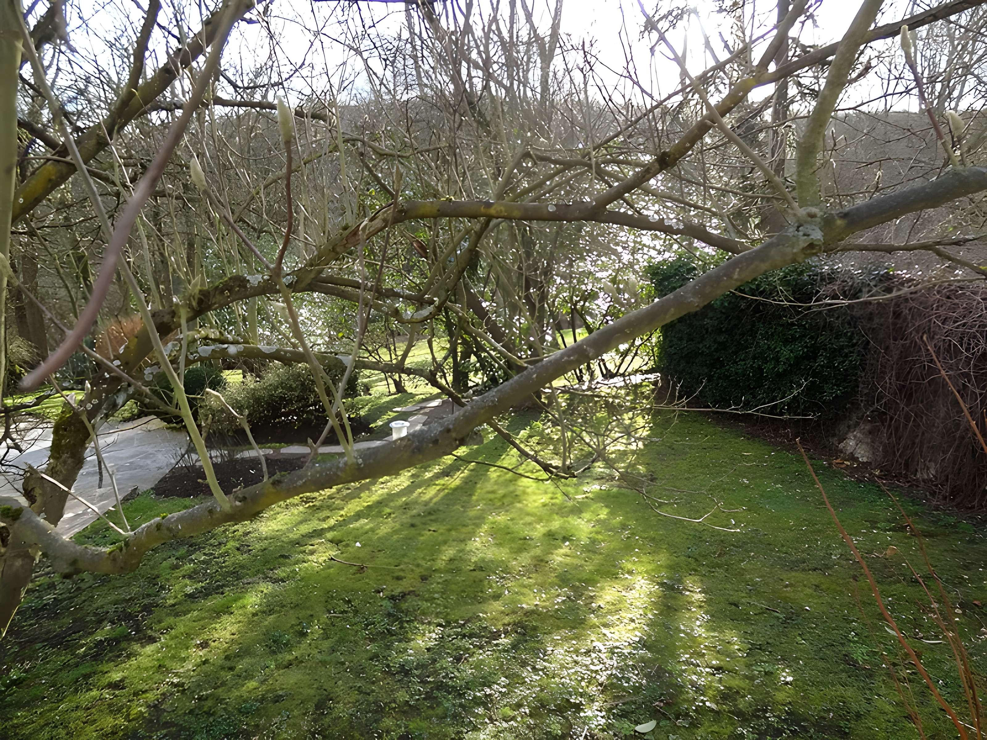 Maison-atelier de Foujita à Villiers-le-Bâcle