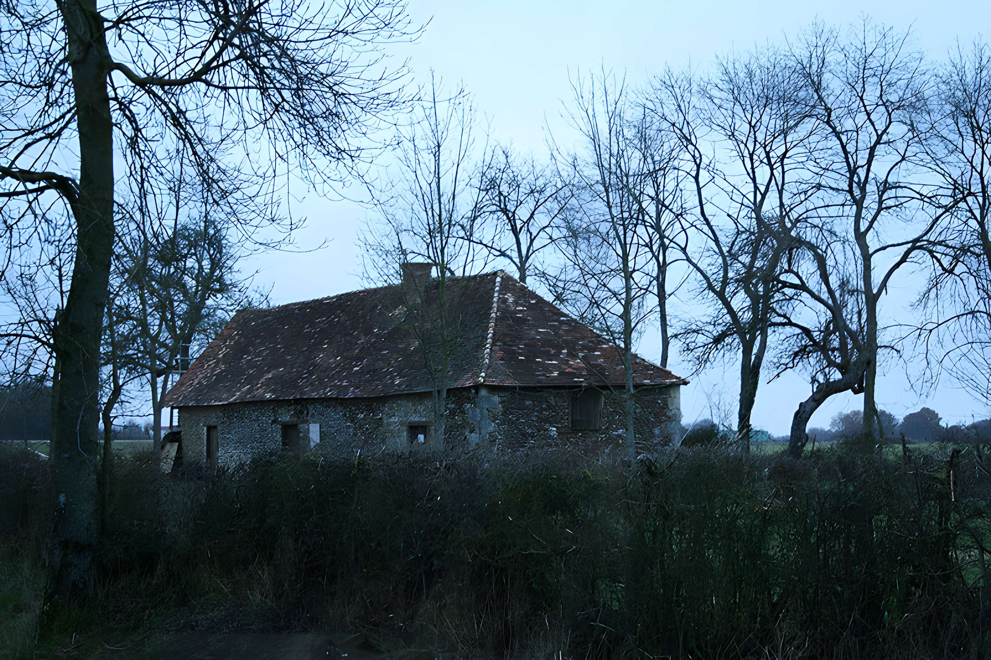 Maisons acadiennes à Archigny