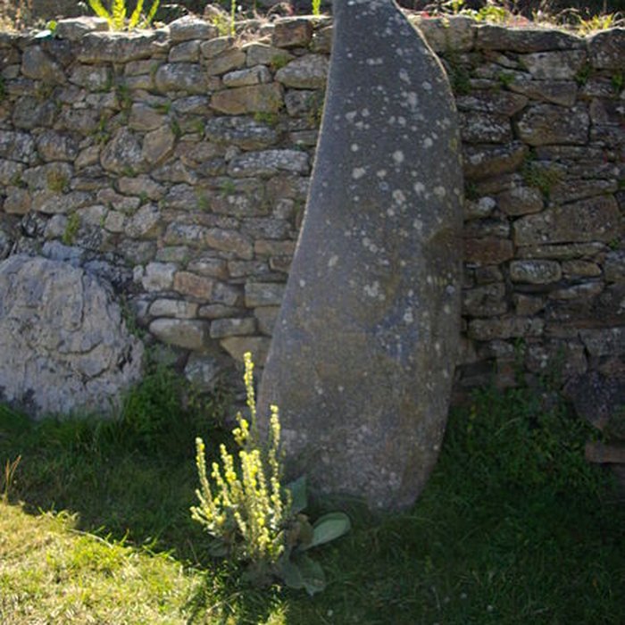 Photo de Cairn du petit Mont à Arzon