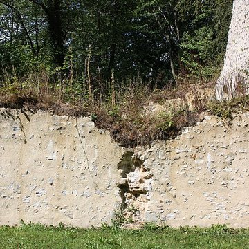 Maladrerie Saint-Thomas-Becket à Aizier