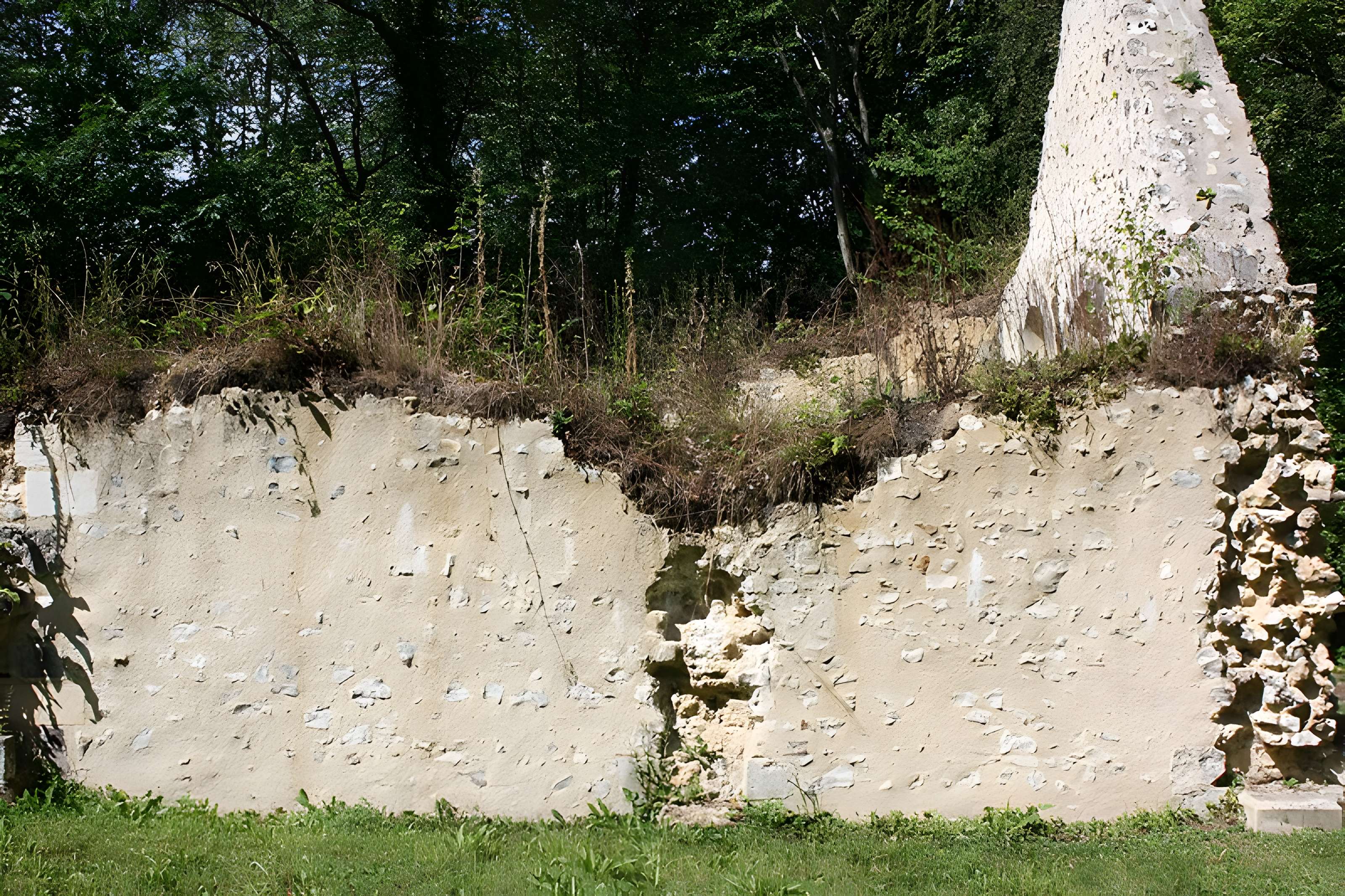 Maladrerie Saint-Thomas-Becket à Aizier