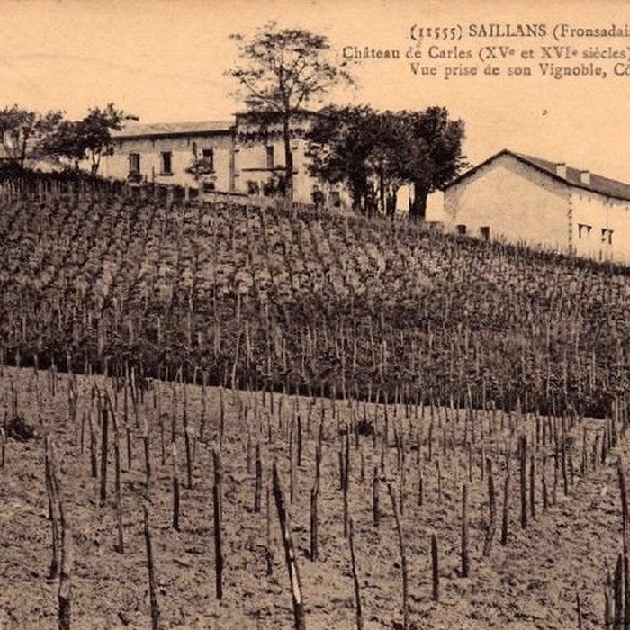 Photo de Château de Carles