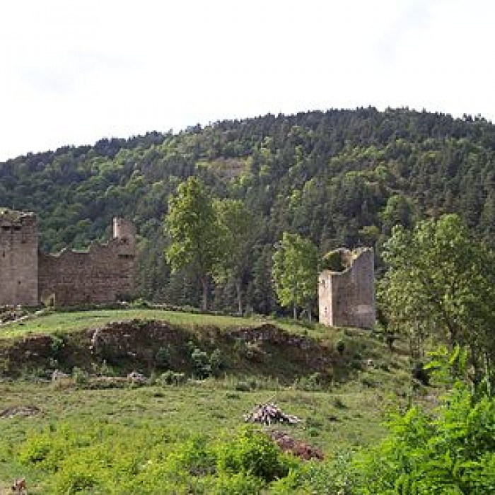 Photo de Vestiges du château de Carry