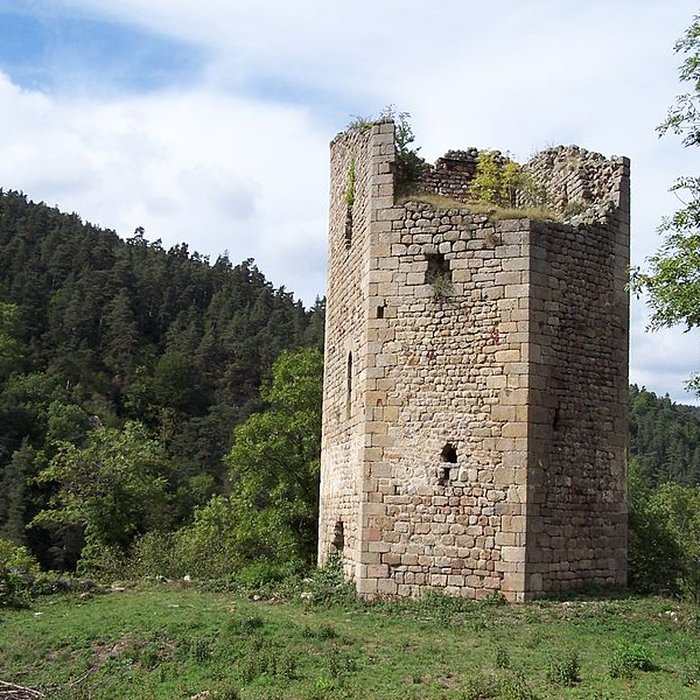 Photo de Vestiges du château de Carry