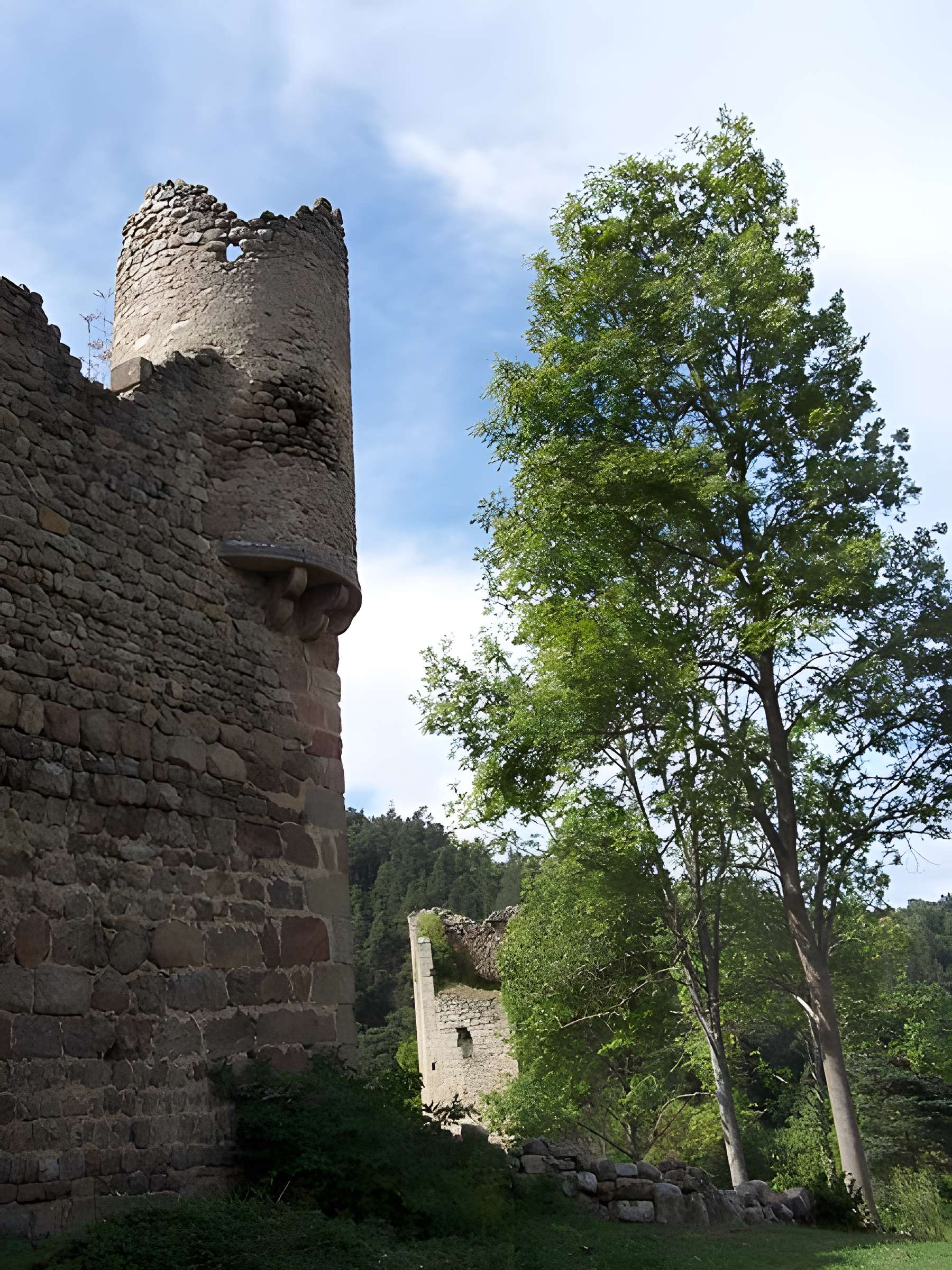 Vestiges du château de Carry
