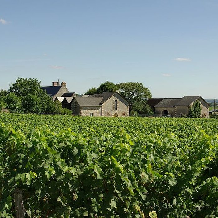 Photo de Manoir de Brulon