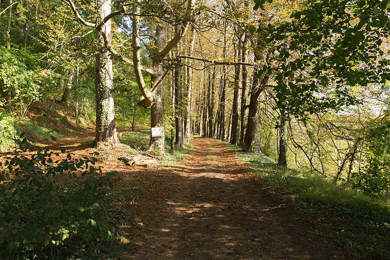 Photo de Manoir de Colandon 