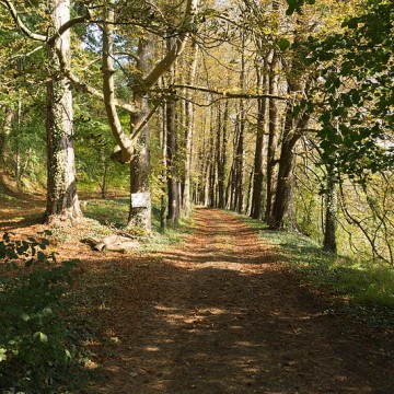 manoir de colandon 