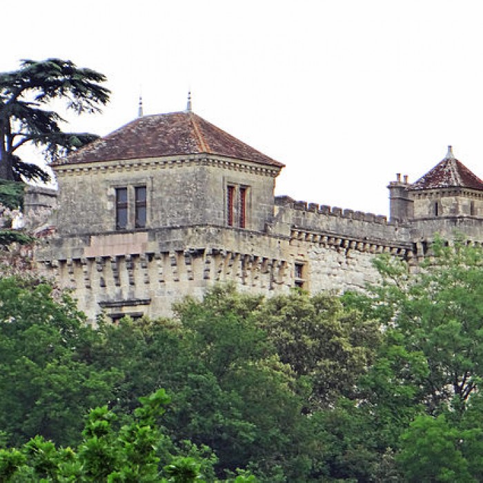 Photo de Château de Castelnoubel
