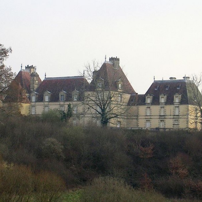 Photo de Château de Castillon