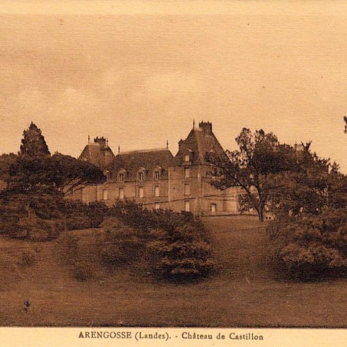 Photo de Château de Castillon