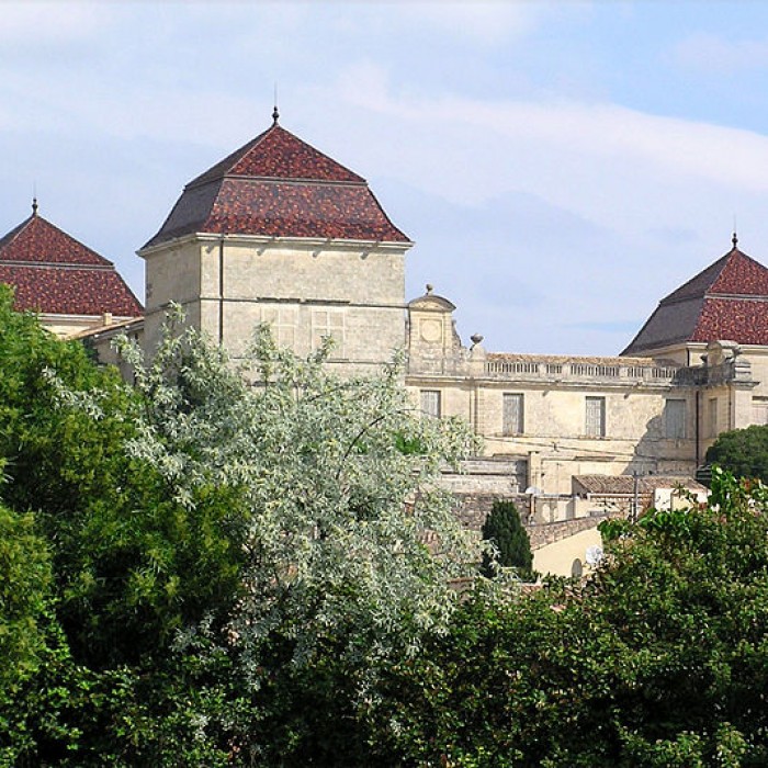 Photo de Château de Castries