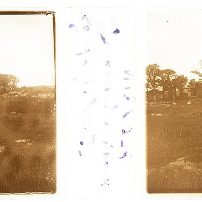 Photo de Manoir de Kerenneur 